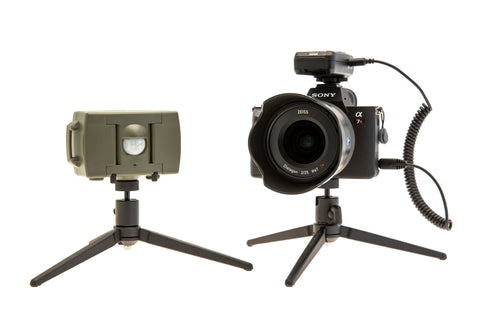 PIR Sensor v3 Pre-set to Video Mode
