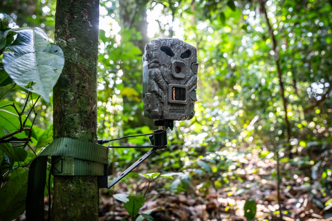 Trail Camera – Camtraptions