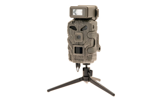 Trail Camera Light Modules – Camtraptions